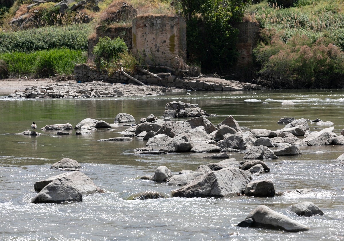 El río Tajo a su paso por Toledo este pasado lunes