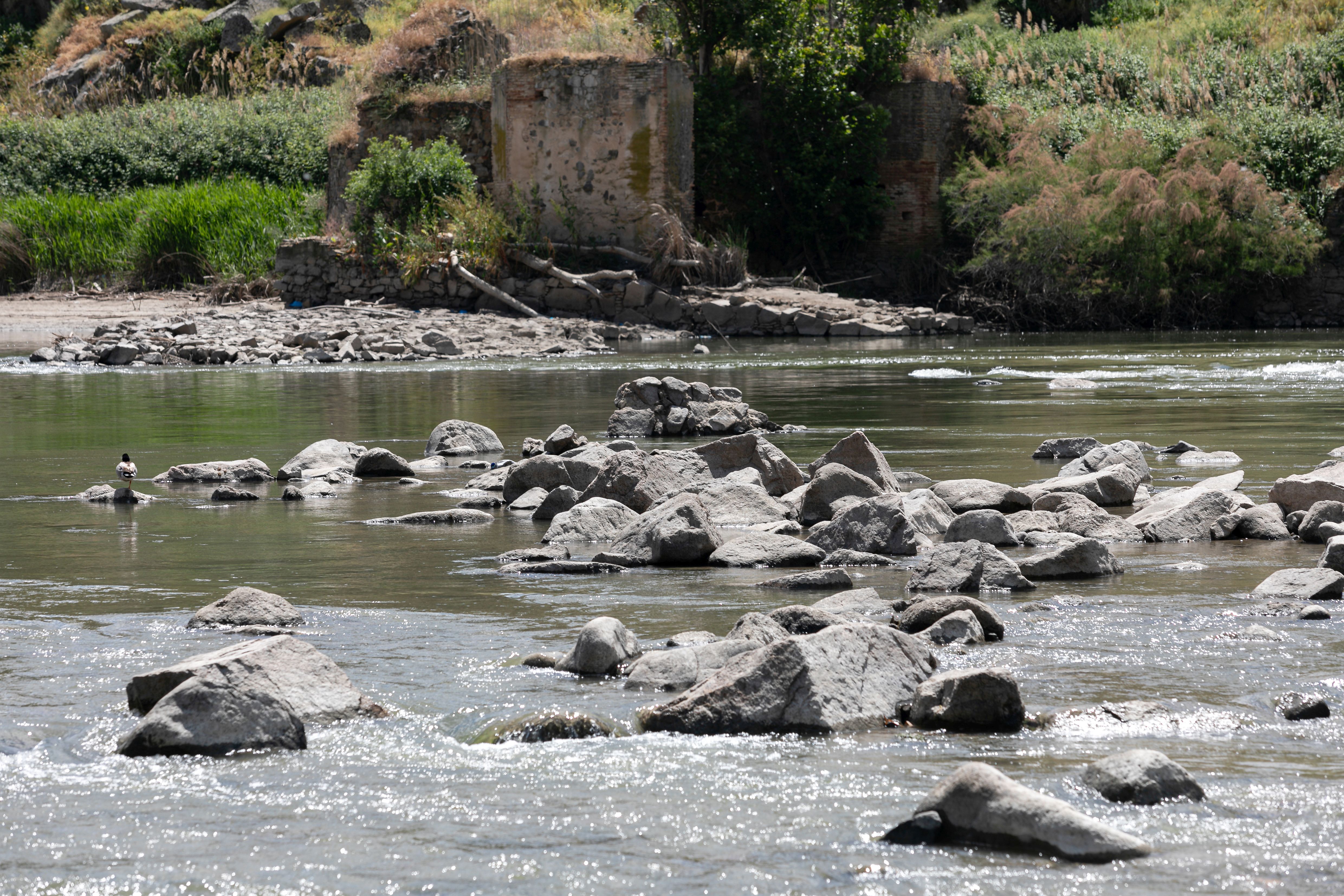 El exiguo caudal del Tajo a su por Toledo en mayo de 2024, en imágenes