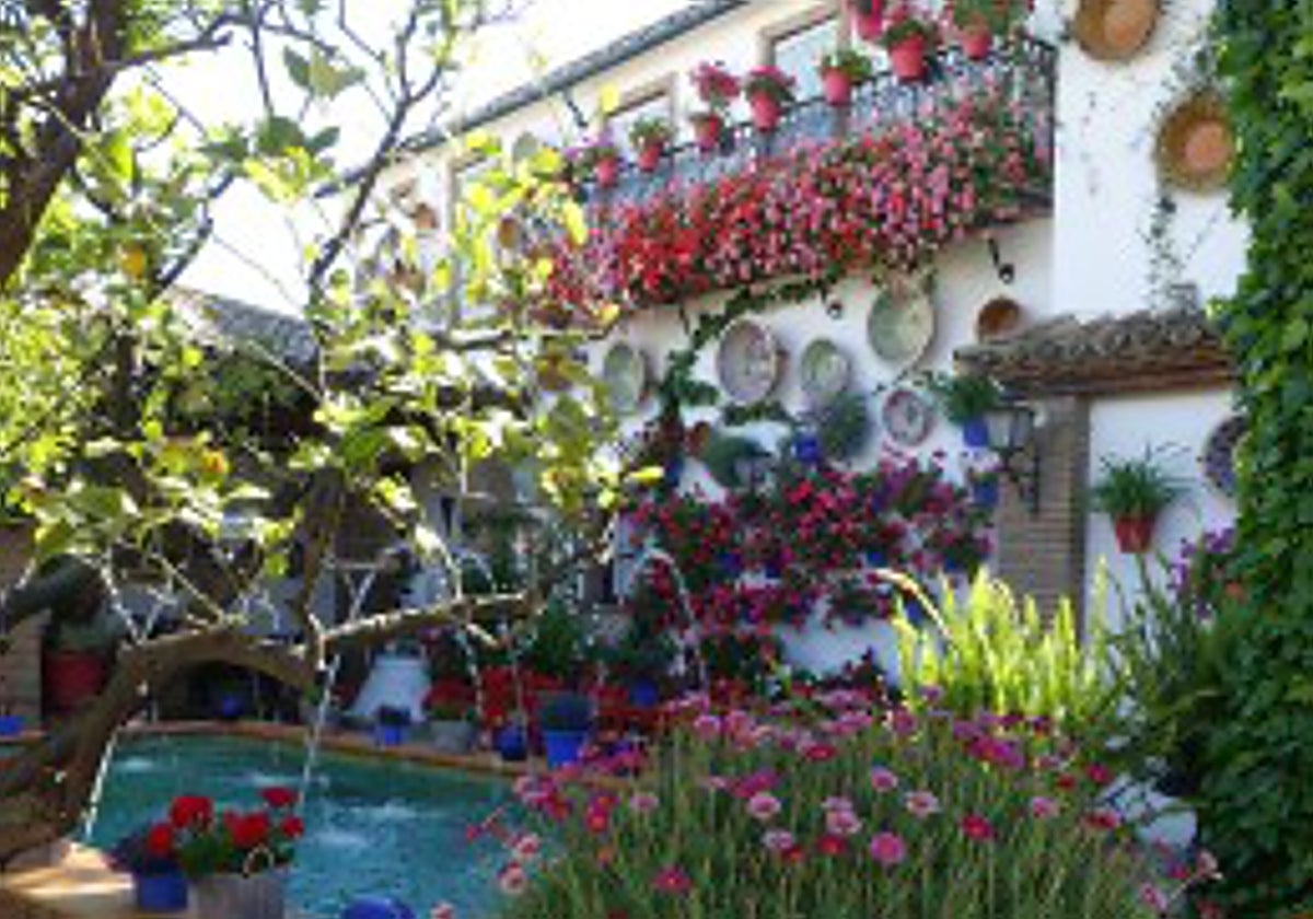 Patio primer premio del concurso en Rute