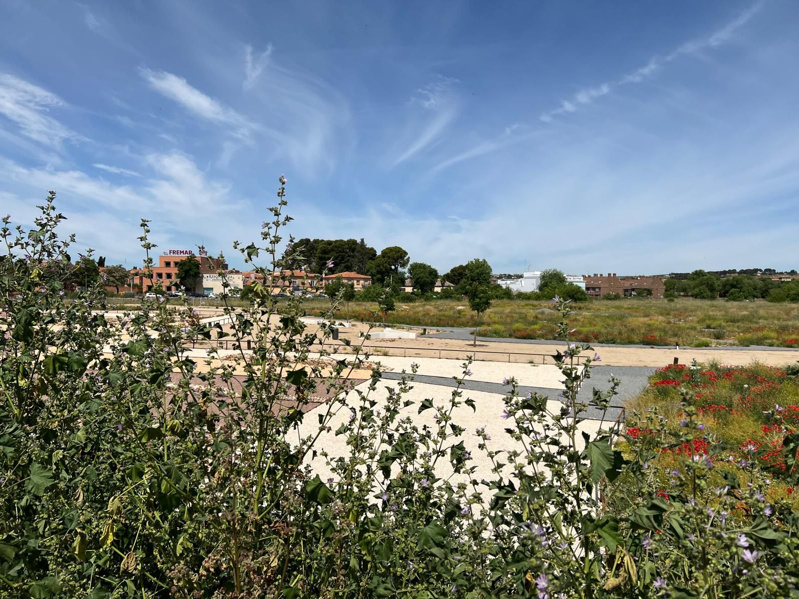 El PSOE denuncia el abandono del nuevo parque de la Vega Baja