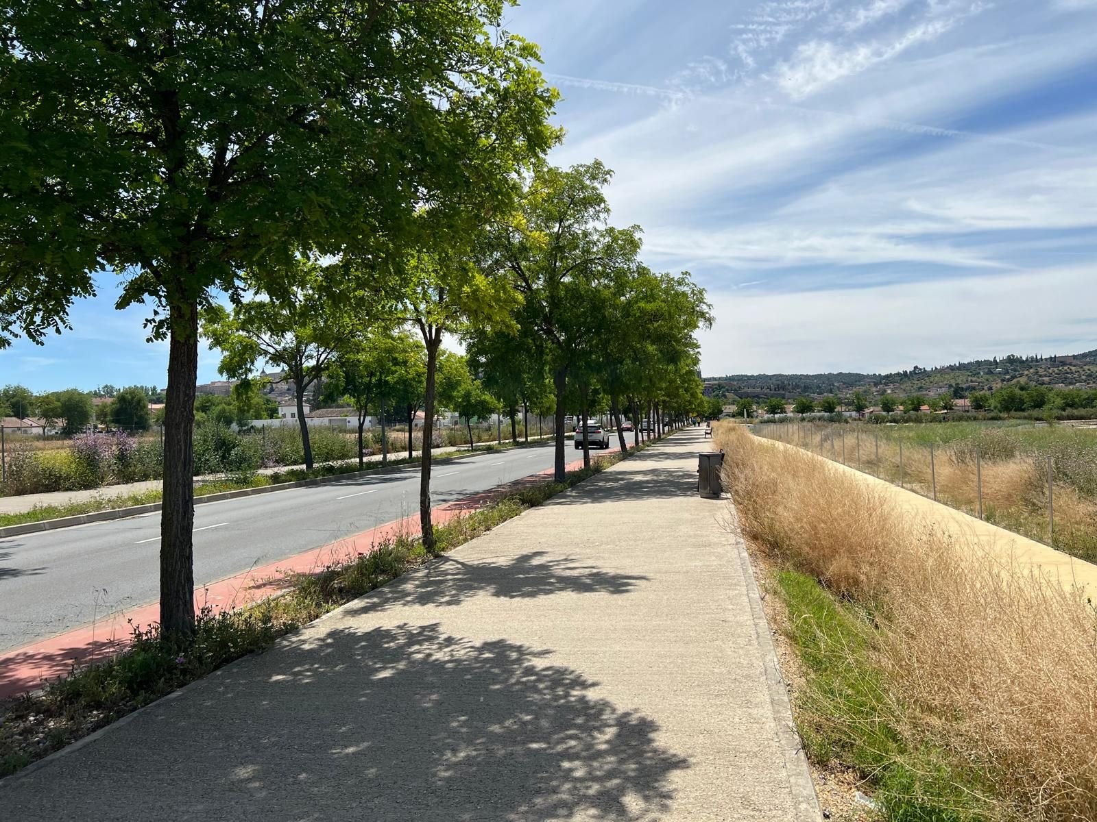 El PSOE denuncia el abandono del nuevo parque de la Vega Baja