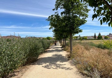 El PSOE denuncia el abandono del nuevo parque de la Vega Baja