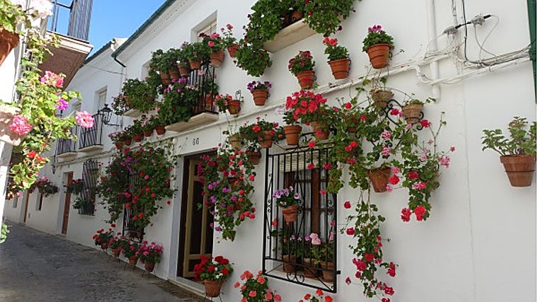 Reja ganadora en Priego de Córdoba