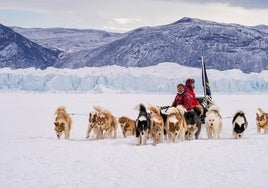 Los 400 kilómetros del malagueño Manuel Calvo para salvar a los perros de Groenlandia