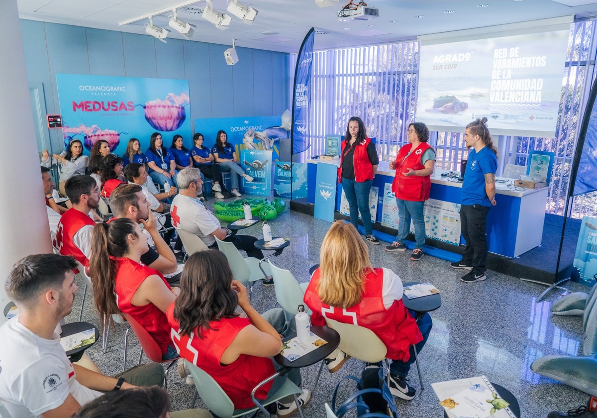 Imagen de una sesión formativa a voluntarios de Cruz Roja en el Oceanogràfic