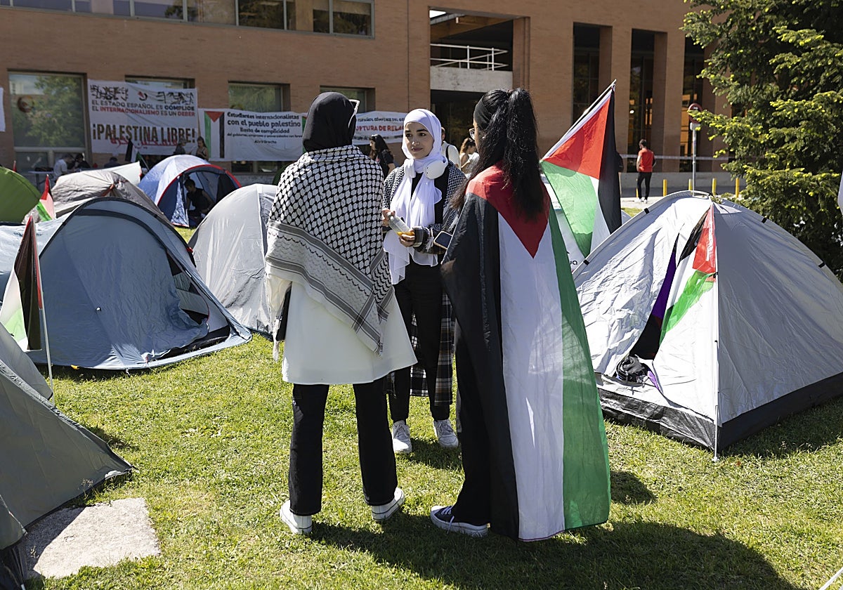 Acampada en la Universidad Complutense a favor del fin de la guerra en Gaza