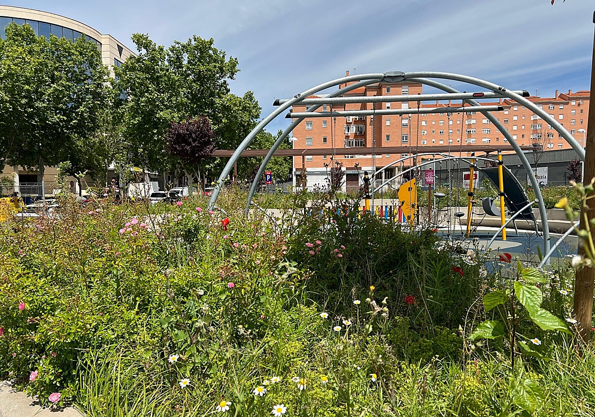 Estado actual de la plaza de España