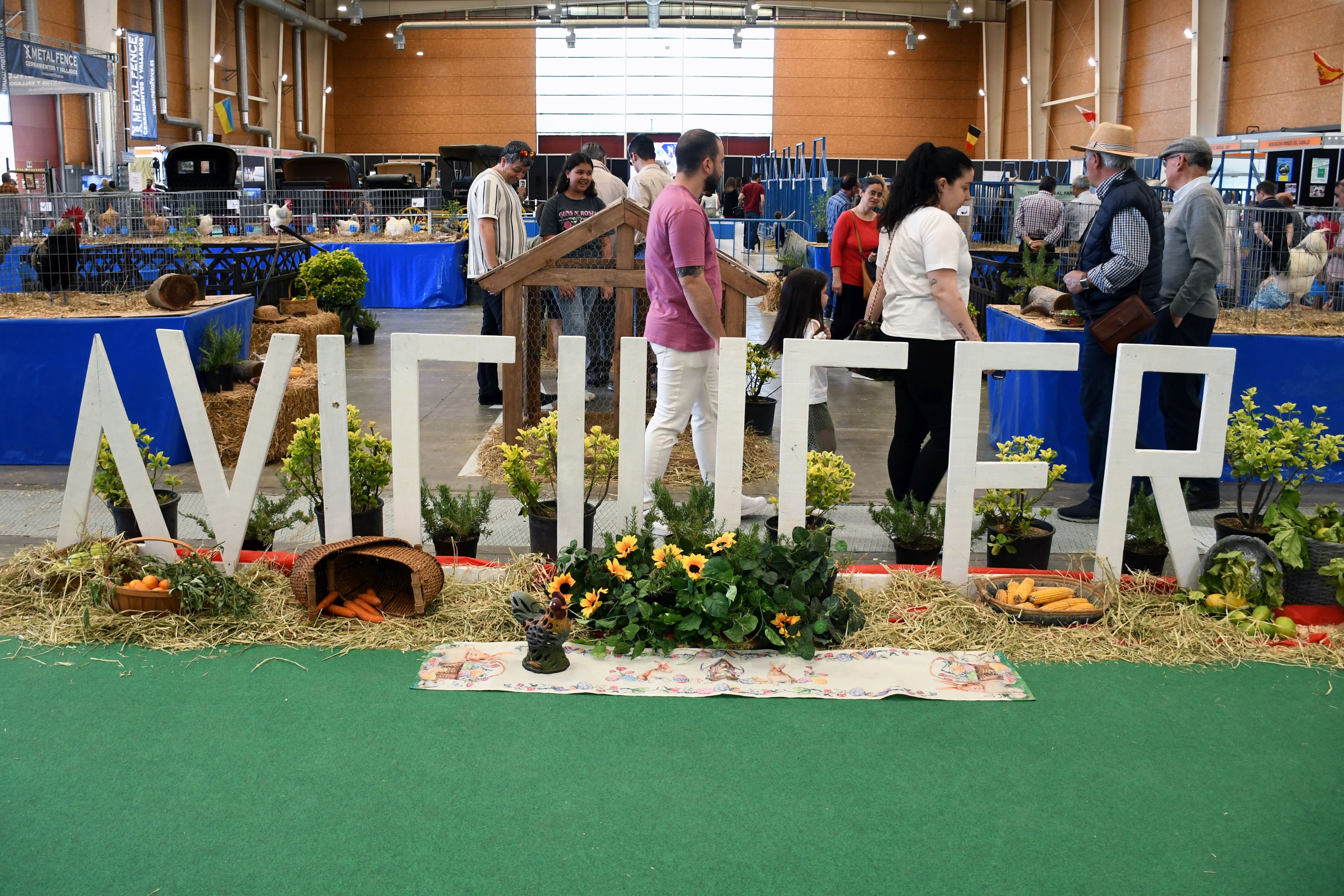 Talavera recupera su feria ganadera después de 22 años