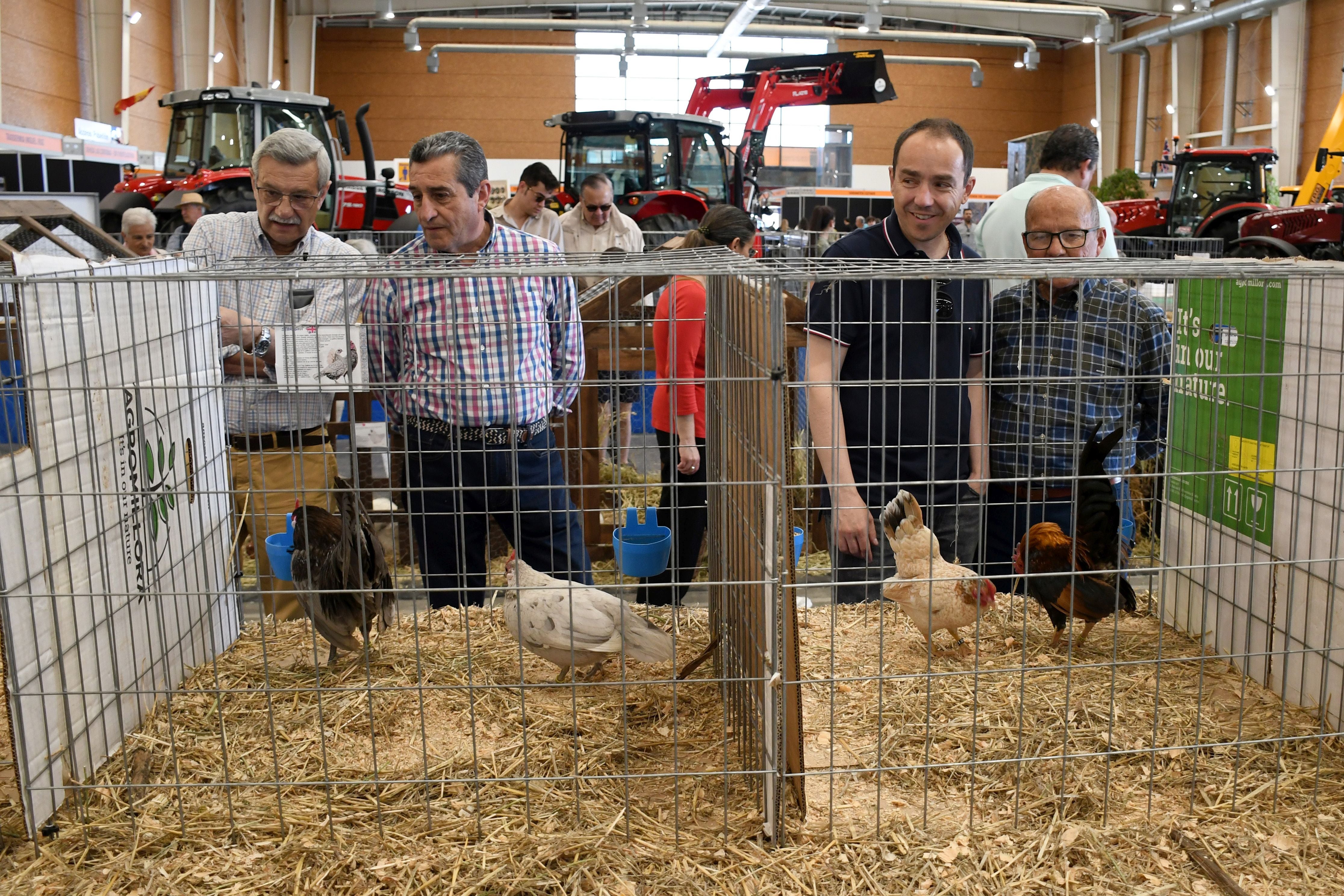 Talavera recupera su feria ganadera después de 22 años