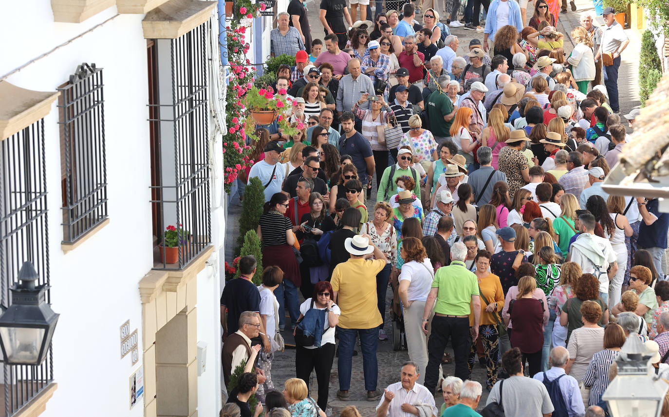 Las imponentes colas del último sábado de los Patios de Córdoba, en imágnes