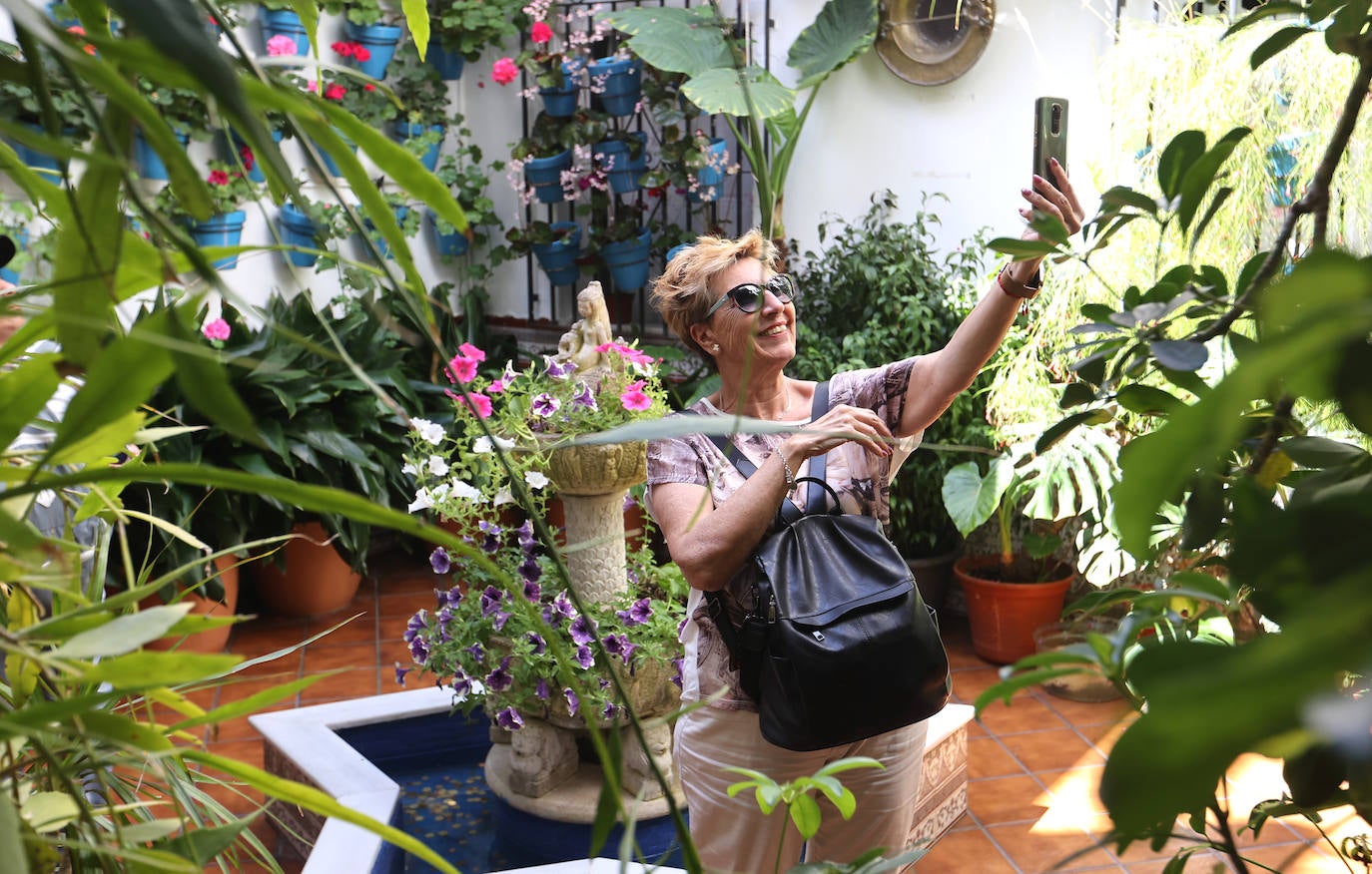 Las imponentes colas del último sábado de los Patios de Córdoba, en imágnes