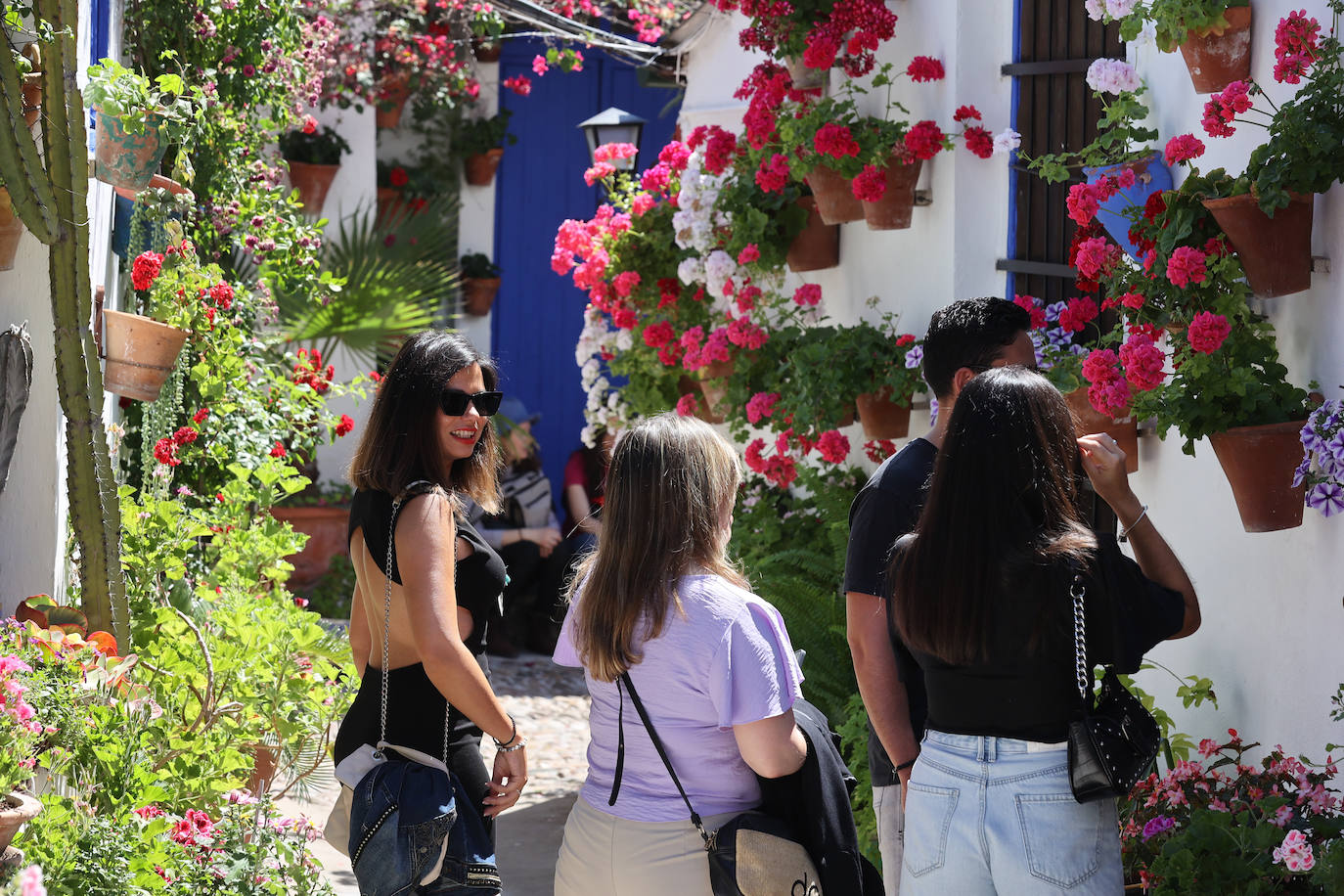 Las imponentes colas del último sábado de los Patios de Córdoba, en imágnes