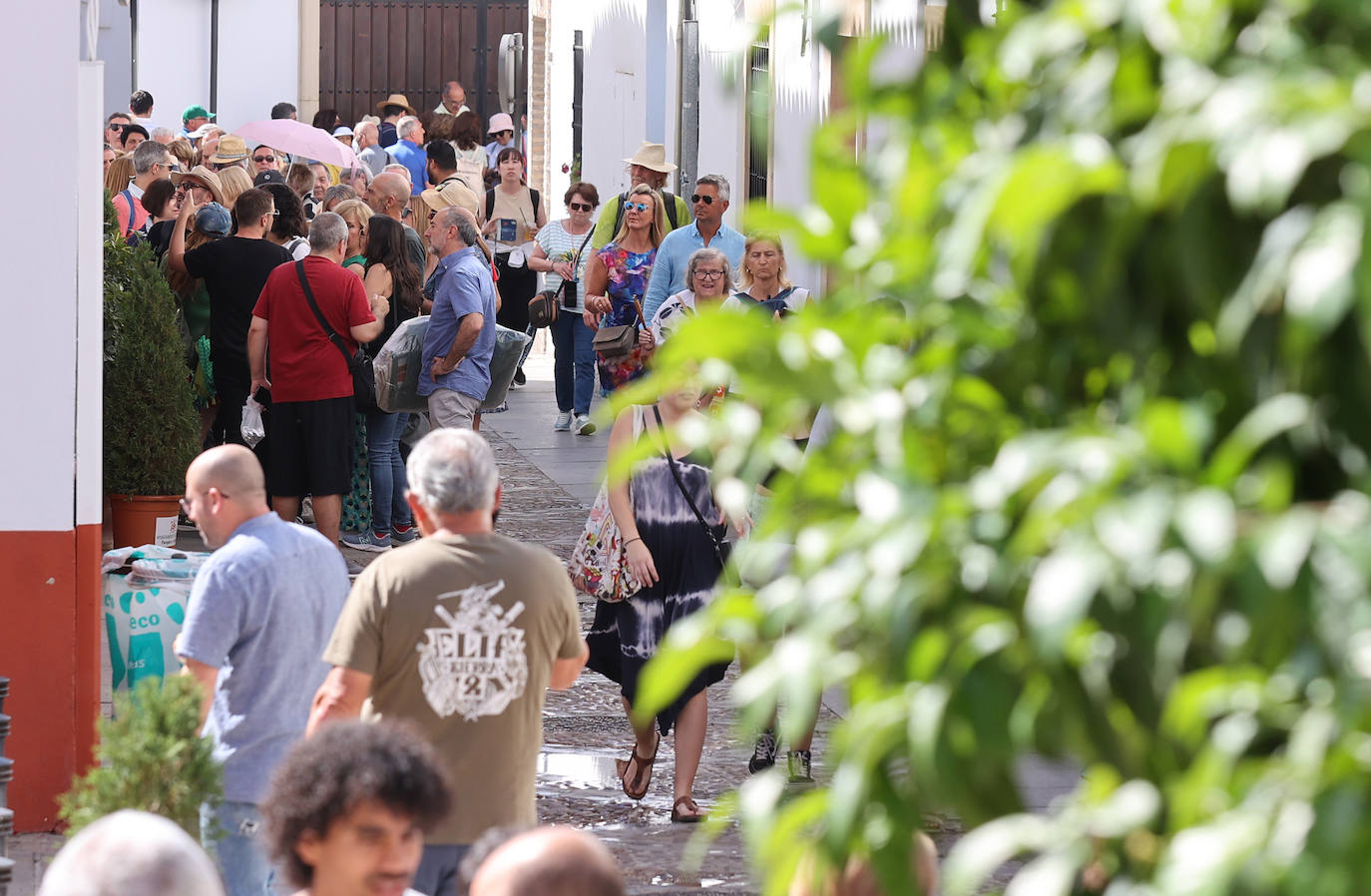 Las imponentes colas del último sábado de los Patios de Córdoba, en imágnes