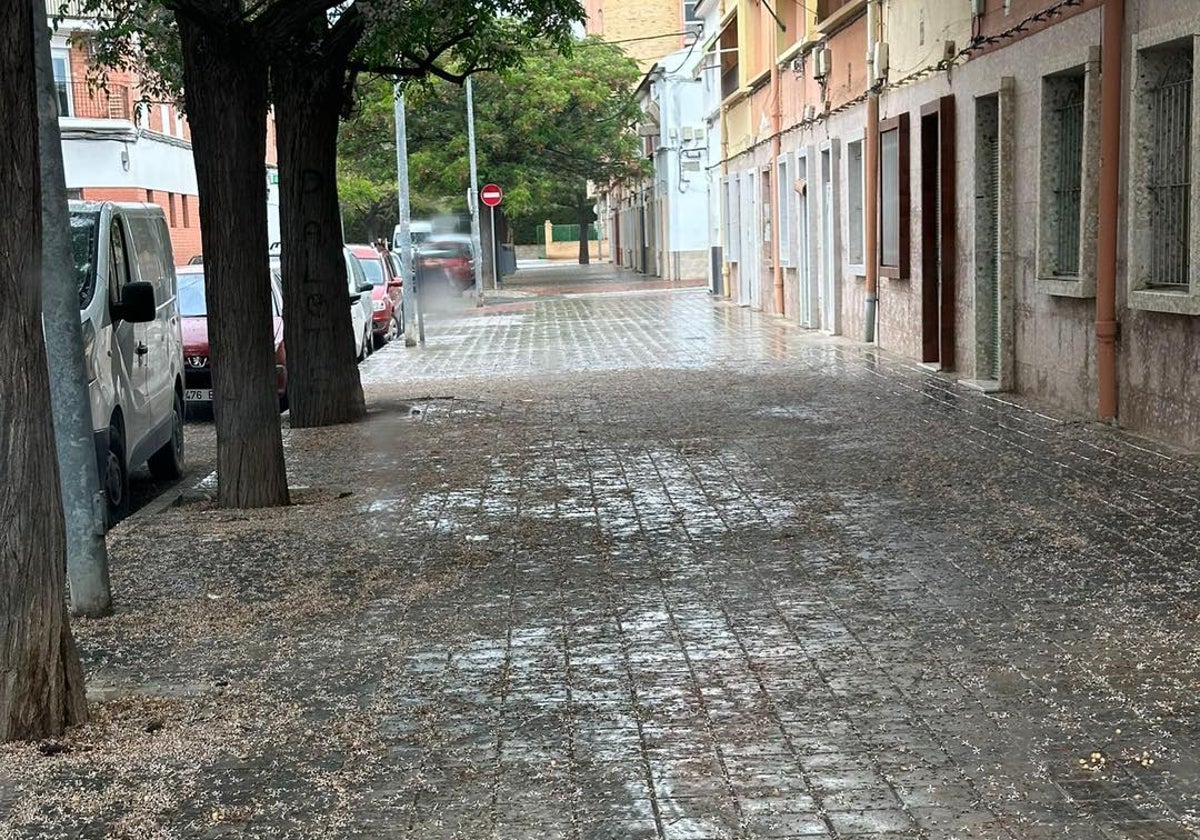 Flores de jacarandas caídas por el suelo en una calle de Alicante.