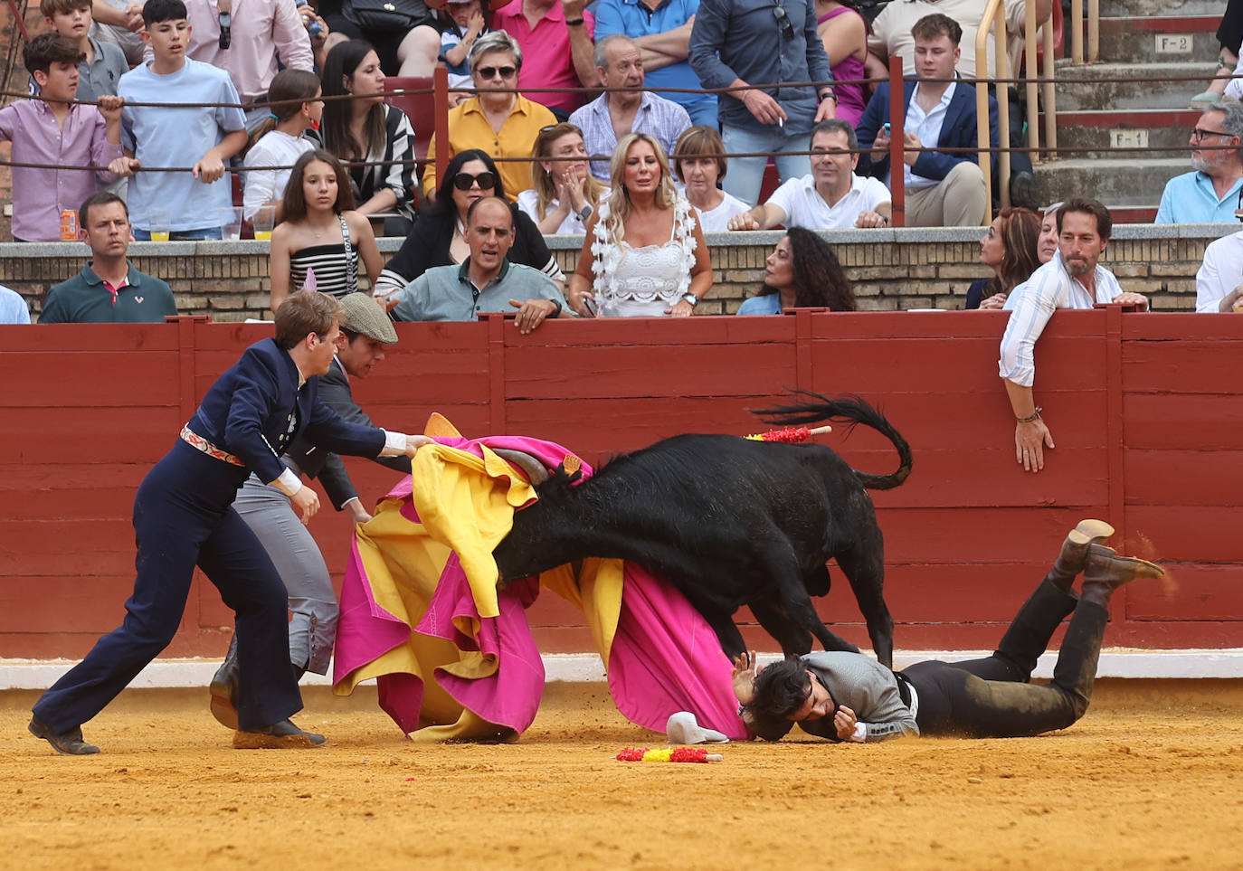 Las mejores fotos de la becerrada de homenaje a la afición cordobesa