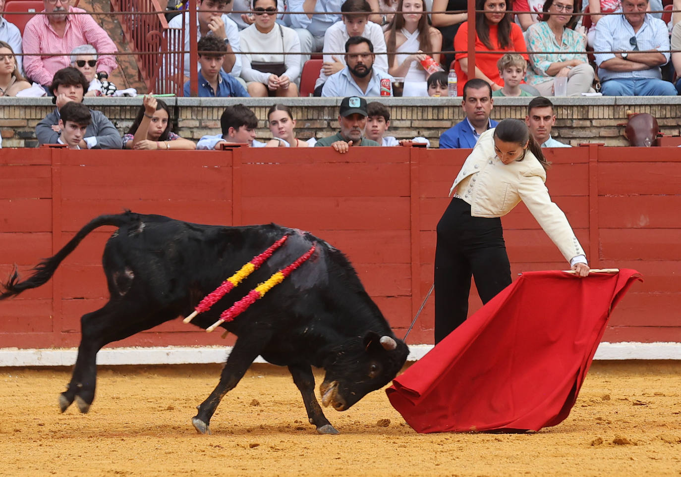 Las mejores fotos de la becerrada de homenaje a la afición cordobesa