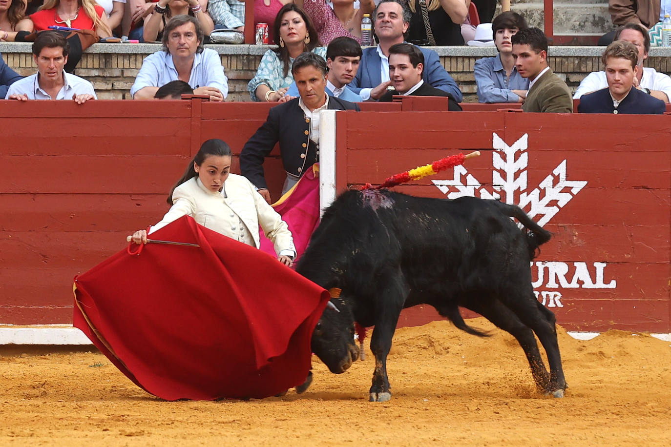 Las mejores fotos de la becerrada de homenaje a la afición cordobesa