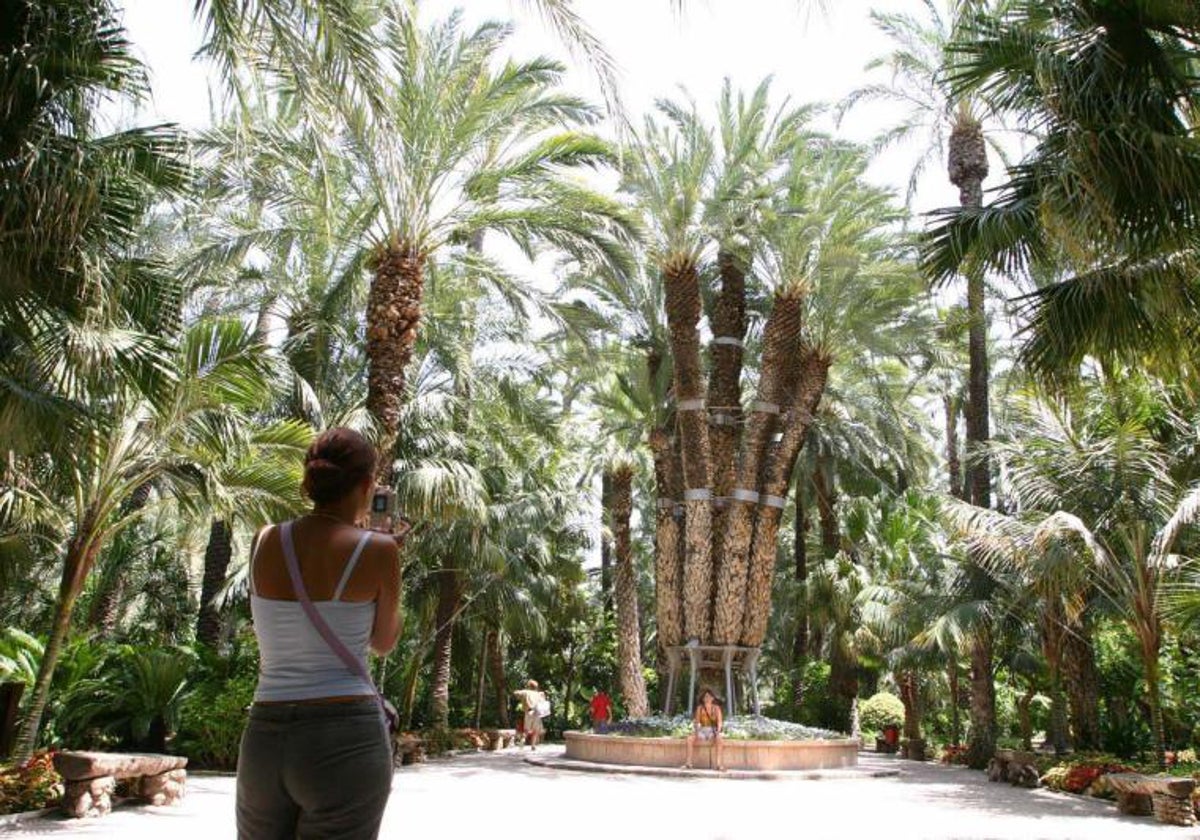 El Hueto del Cura en Elche, en cuyo hotel se celebra el evento.