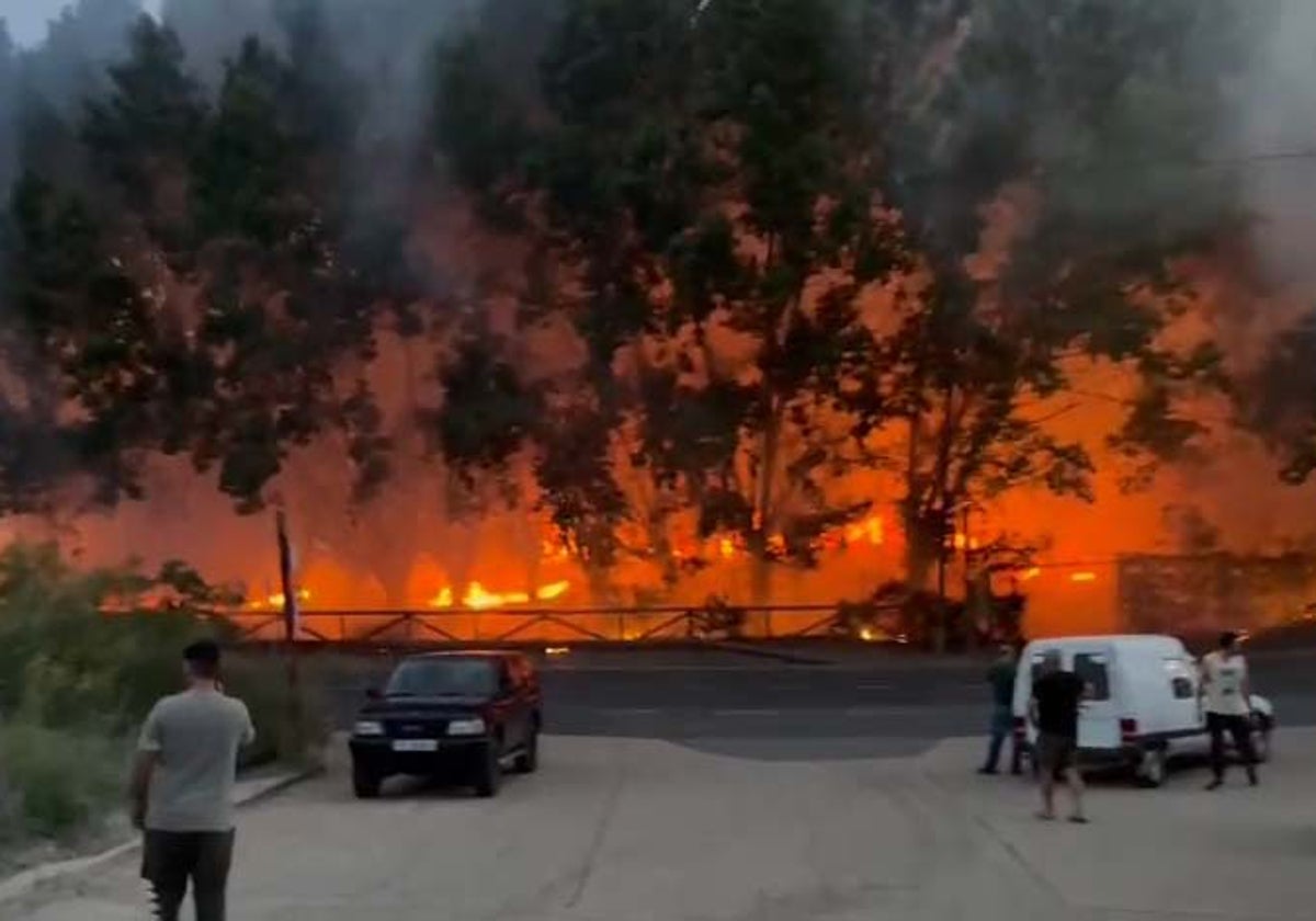 Extinguido un incendio con varios focos de origen en el parque natural de las Lagunas de Ruidera