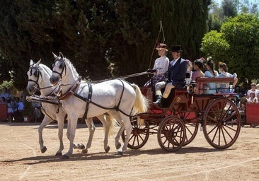 Exhibición de Carruajes de Tradición: cuándo es y qué horario tiene