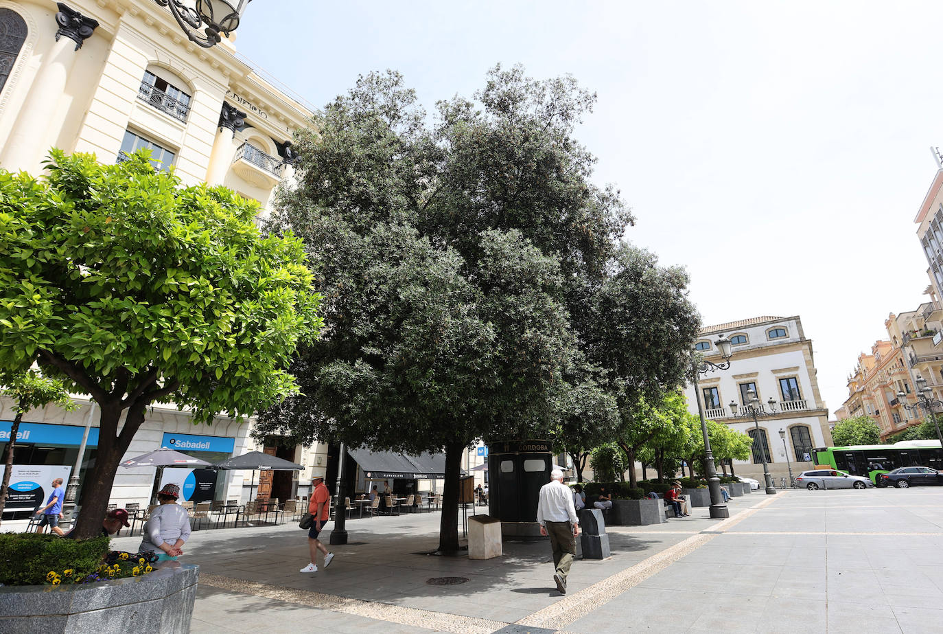 Fotos: la nueva plaza de Las Tendillas, al detalle tras cumplir 25 años