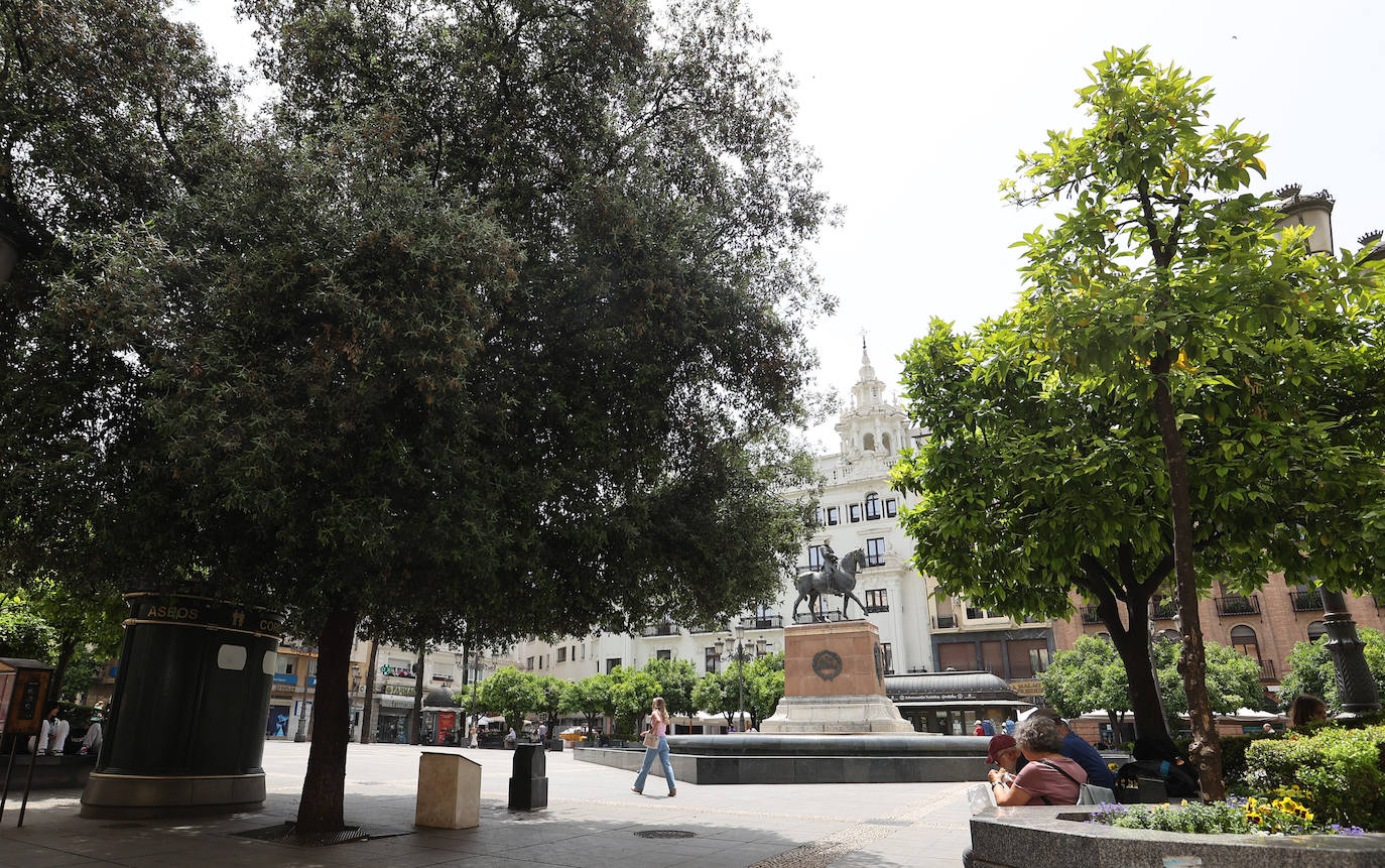 Fotos: la nueva plaza de Las Tendillas, al detalle tras cumplir 25 años