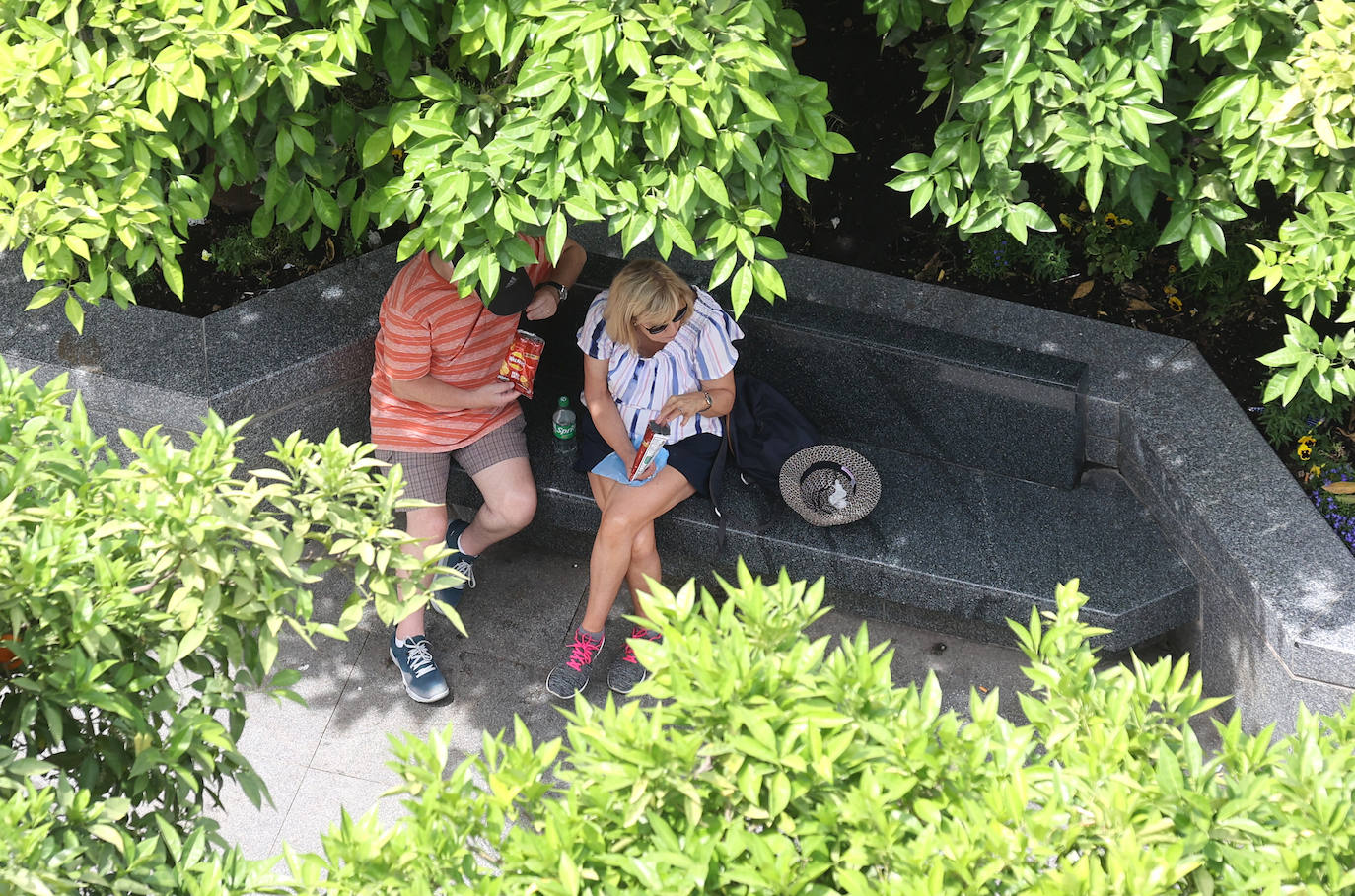 Fotos: la nueva plaza de Las Tendillas, al detalle tras cumplir 25 años