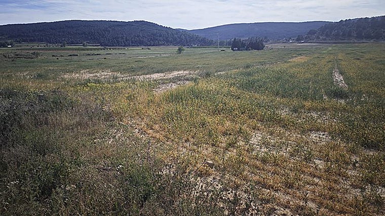 Imagen de los efectos de la sequía en la provincia de Valencia