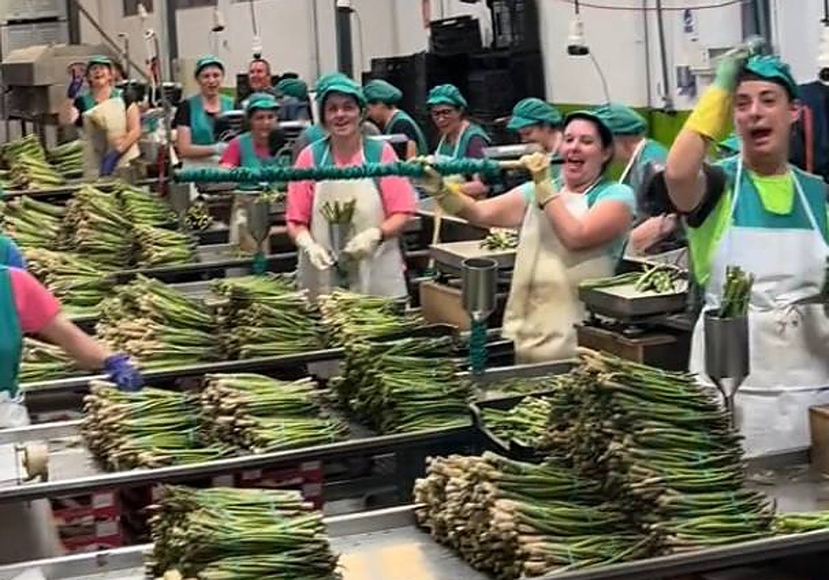 Vídeo viral en Tik Tok de Jesús Aguilar