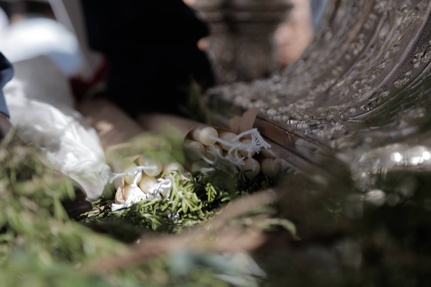 La Hermandad de Coria del Río ha iniciado hoy martes su peregrinación hacia la aldea del Rocío 