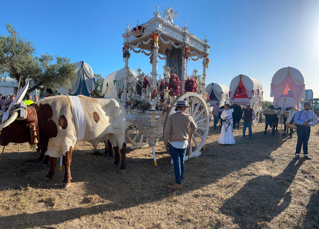 Estampas de la hermandad de Coria del Río en su segundo día de camino hacia El Rocío