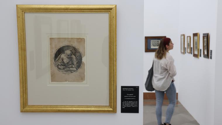 Una mujer observa, en una imagen de archivo, una exposición el Museo Bellas Artes