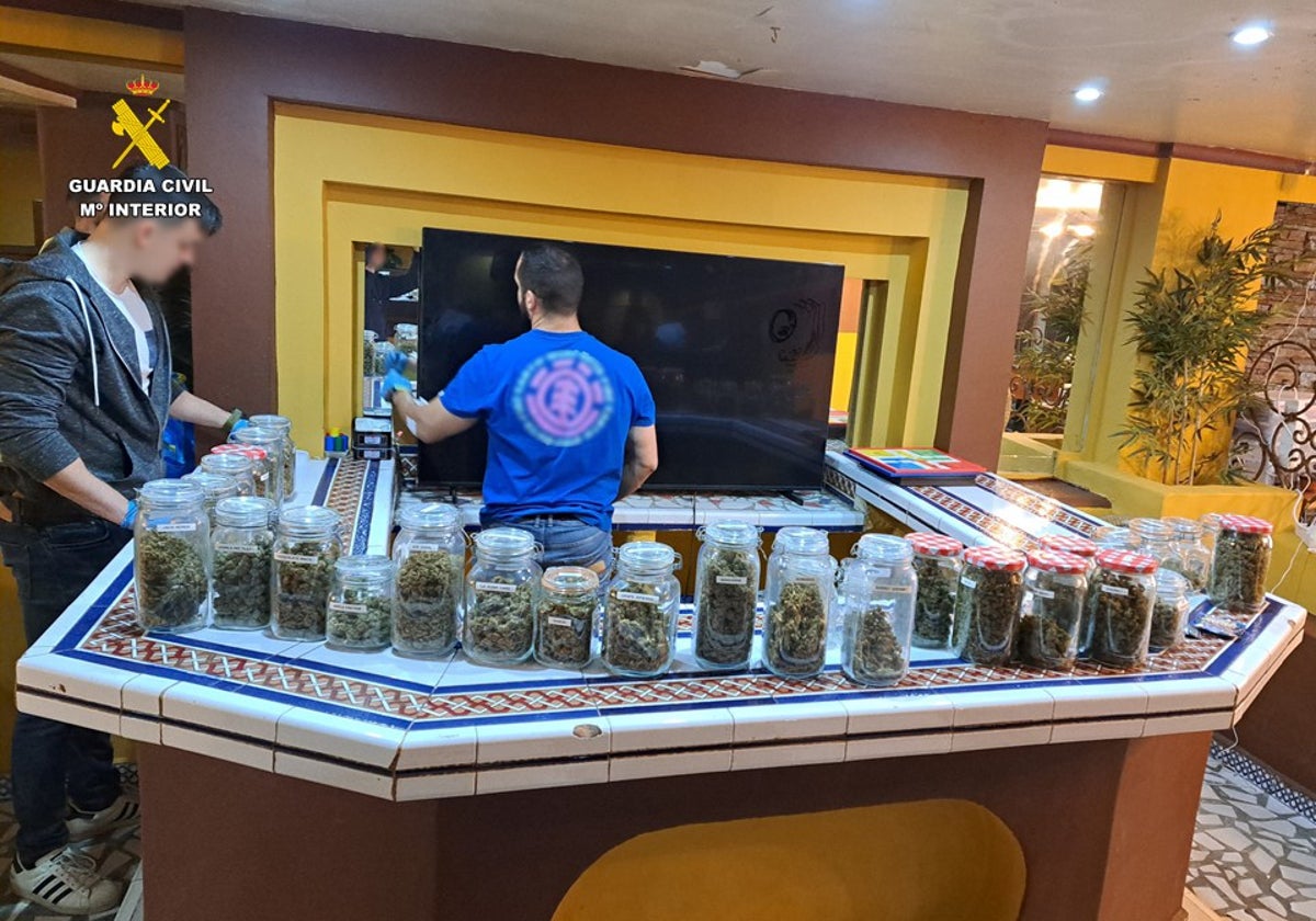 Clausuran cinco años una asociación que vendía hasta 30 variedades de  marihuana a turistas extranjeros en Torrevieja