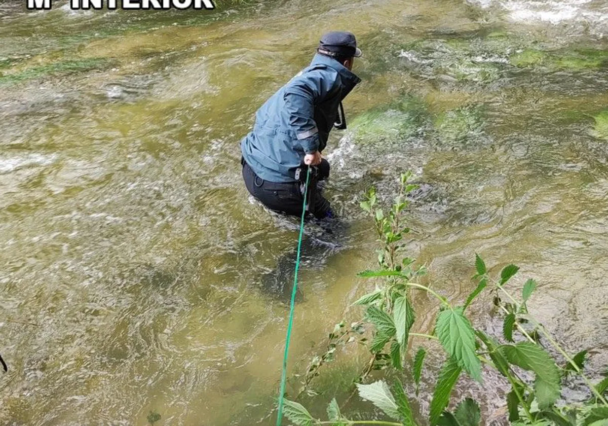 Cae al río con su perro, es arrastrada por la corriente y logra llamar a  emergencias para ser rescatada