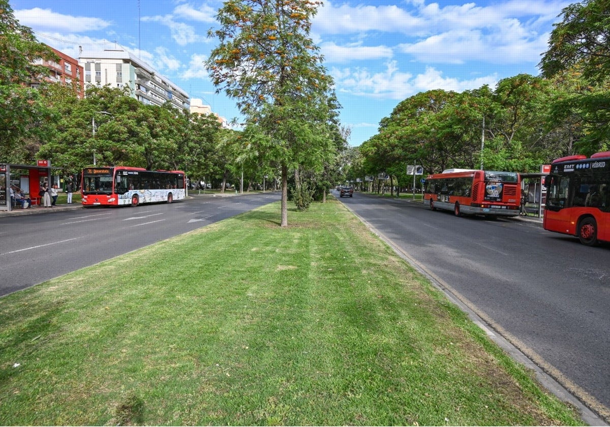 Imagen de archivo de autobuses de la EMT en la avenida Blasco Ibañez de Valencia