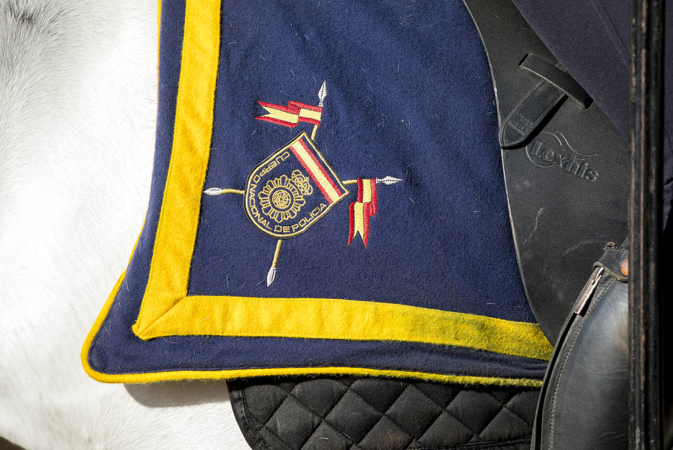 La presentación de las hermandades filiales ante la Blanca Paloma en el Rocío 2024