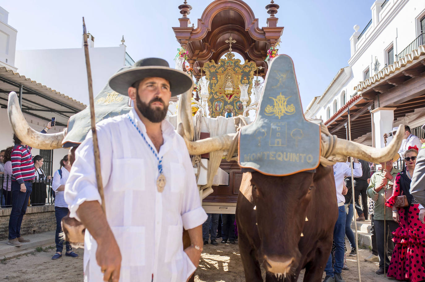 La presentación de las hermandades filiales ante la Blanca Paloma en el Rocío 2024