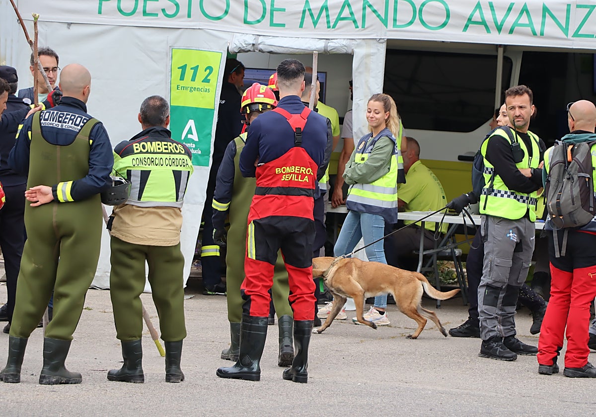 Dispositivo de búsqueda de este viernes