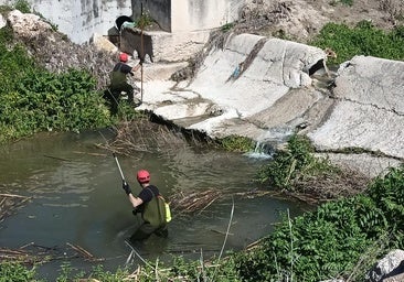 Retoman la búsqueda de Pedro Mayorgas, el hombre de 83 años desaparecido en Lucena