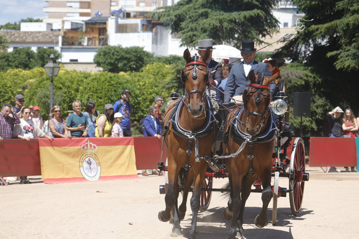 Fotos: la bella exhibición de carruajes de tradición en la Feria de Córdoba
