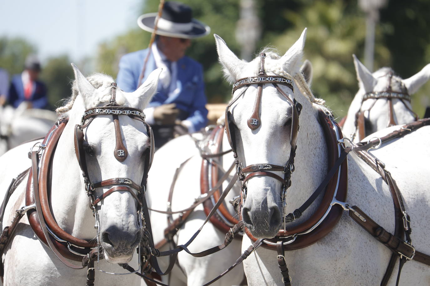 Fotos: la bella exhibición de carruajes de tradición en la Feria de Córdoba