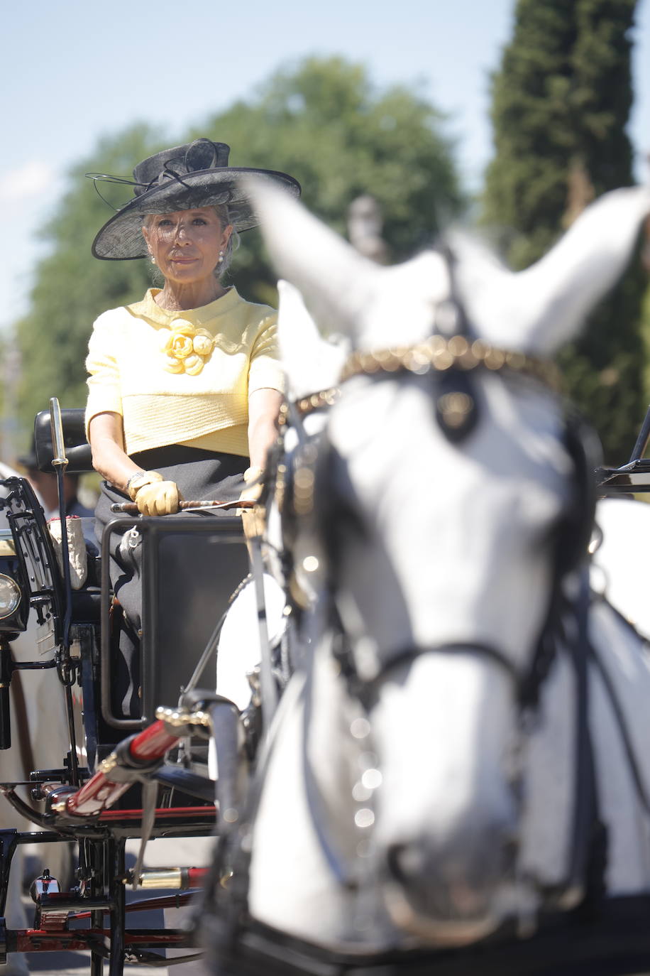 Fotos: la bella exhibición de carruajes de tradición en la Feria de Córdoba