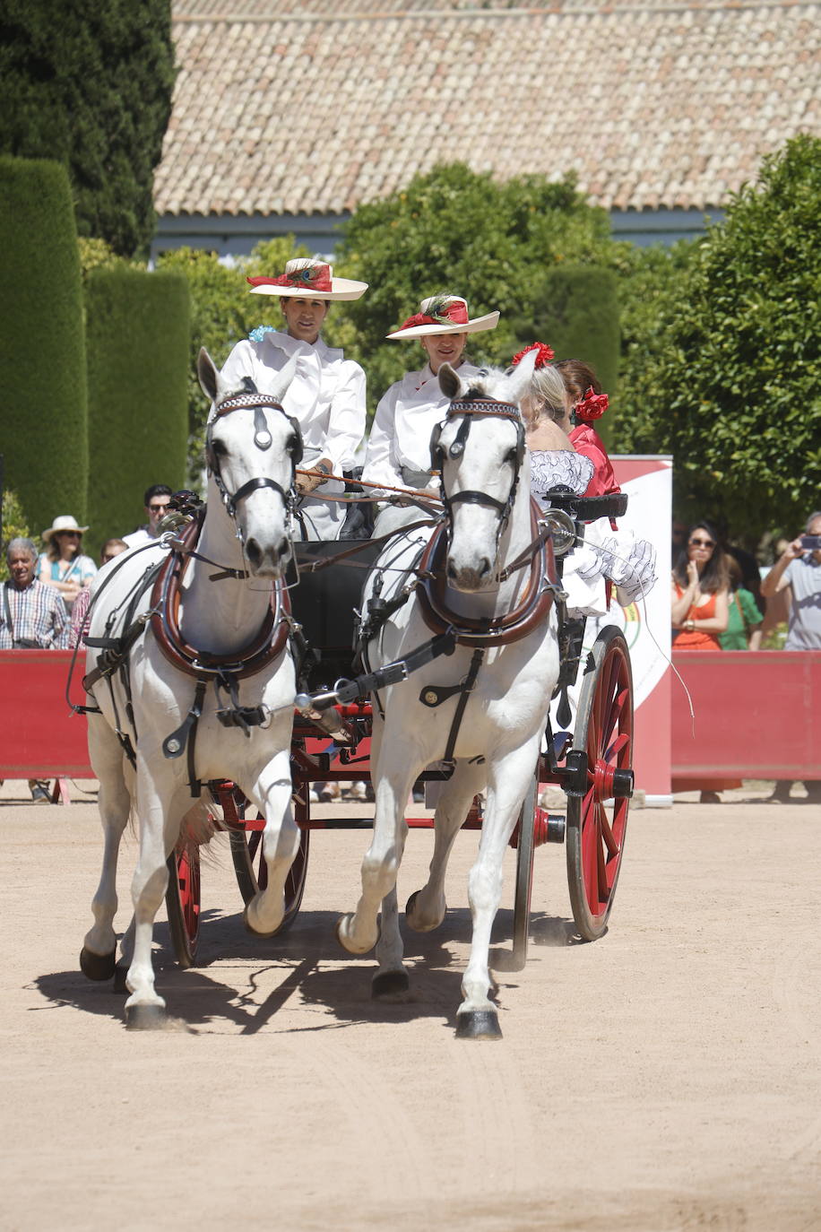 Fotos: la bella exhibición de carruajes de tradición en la Feria de Córdoba