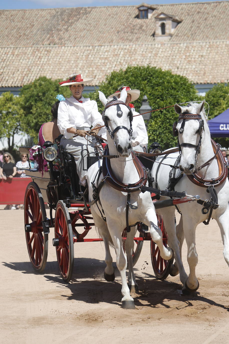 Fotos: la bella exhibición de carruajes de tradición en la Feria de Córdoba