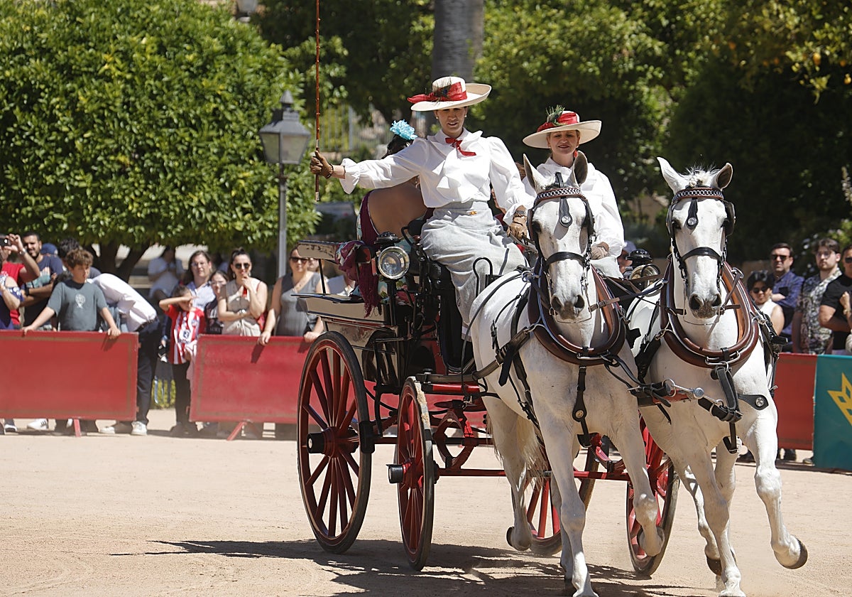 Uno de los carruajes participantes en la exhibición de enganches, celebradas este sábado