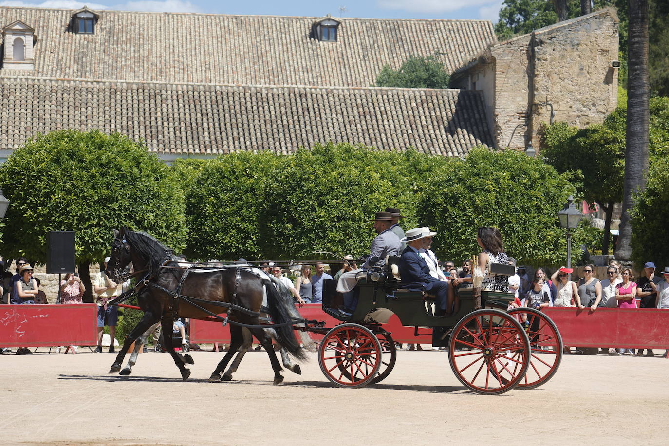 Fotos: la bella exhibición de carruajes de tradición en la Feria de Córdoba