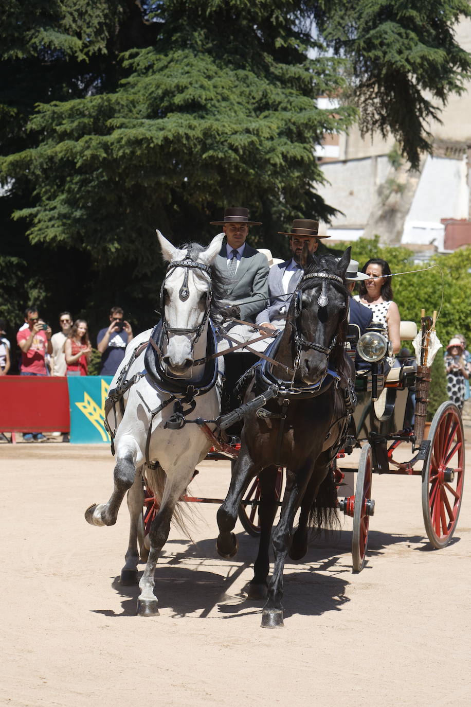 Fotos: la bella exhibición de carruajes de tradición en la Feria de Córdoba