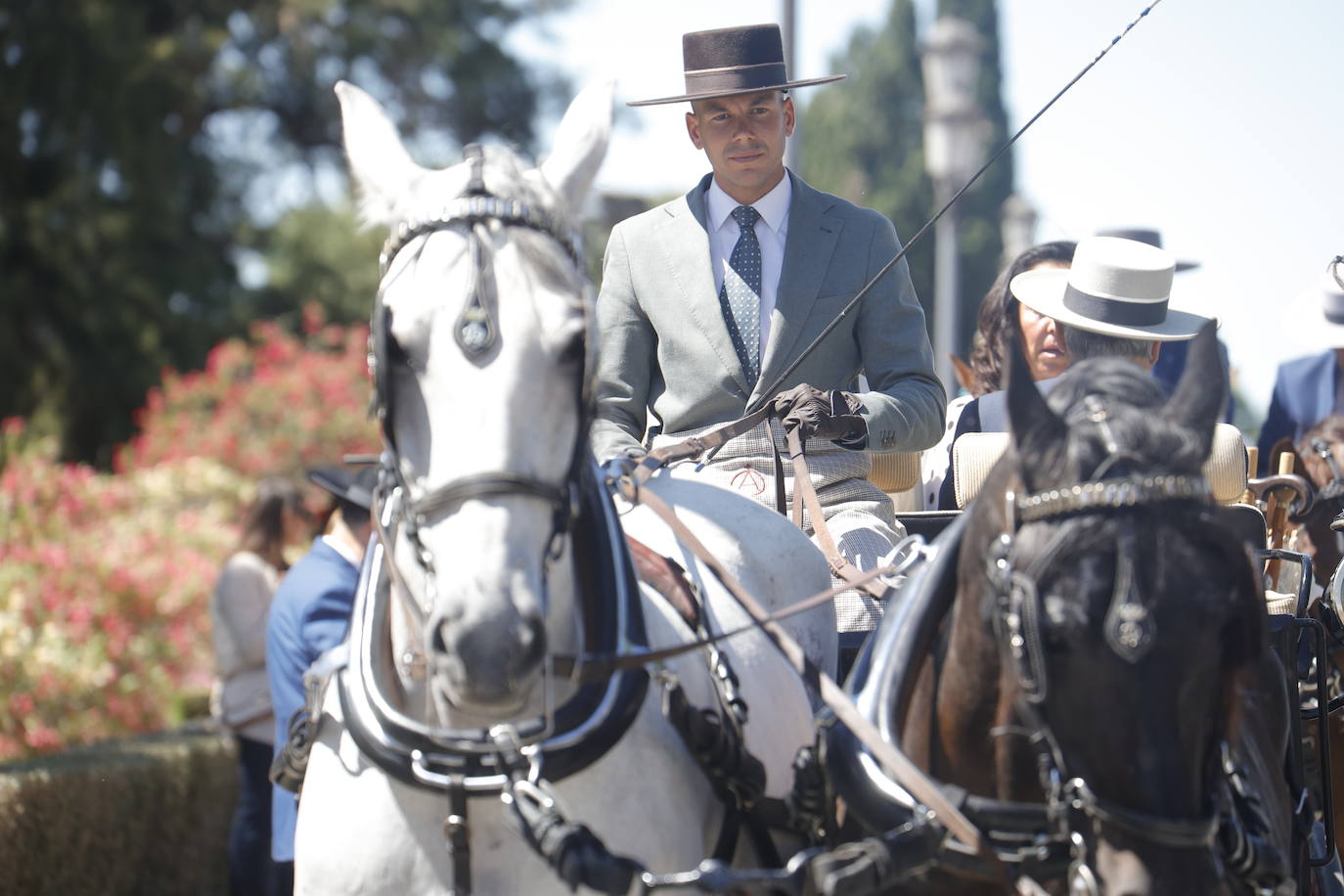 Fotos: la bella exhibición de carruajes de tradición en la Feria de Córdoba