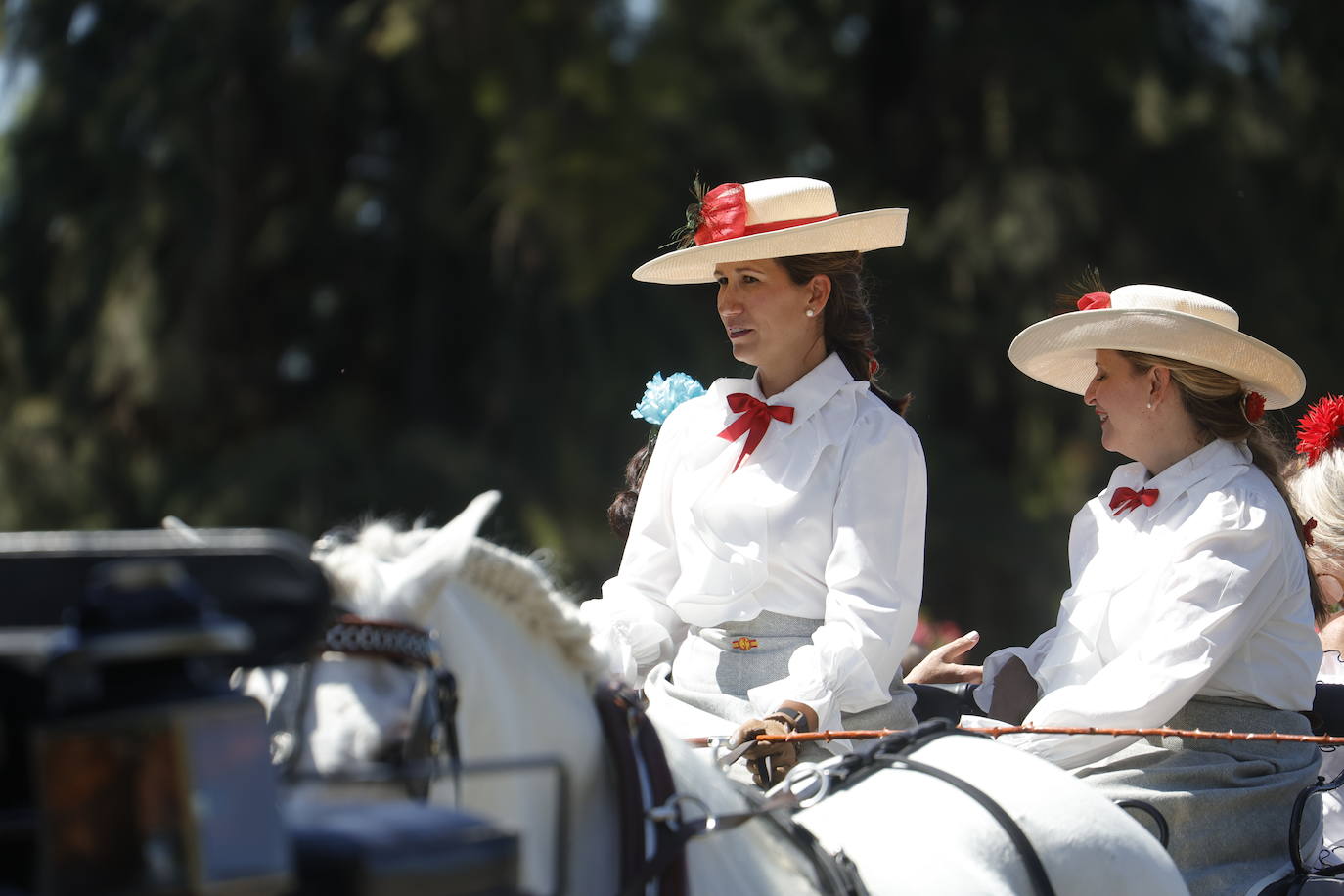 Fotos: la bella exhibición de carruajes de tradición en la Feria de Córdoba