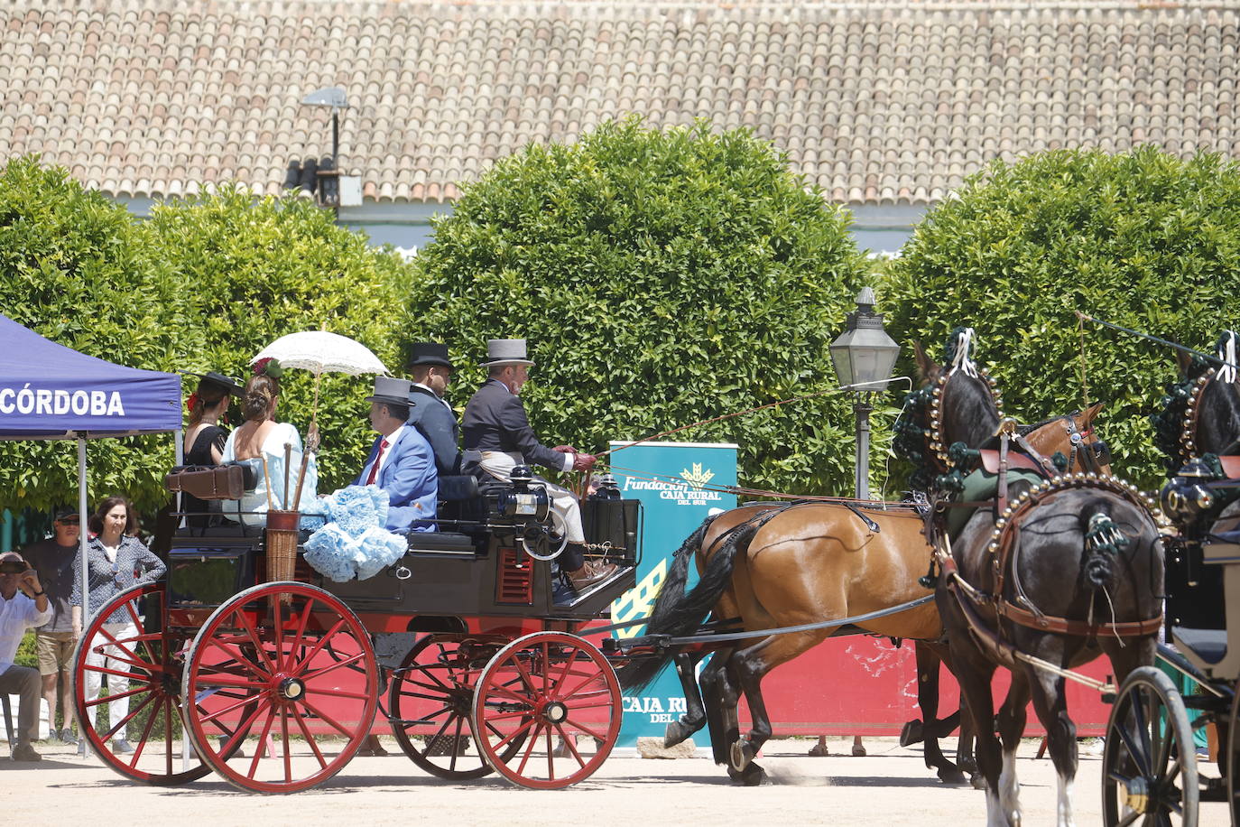 Fotos: la bella exhibición de carruajes de tradición en la Feria de Córdoba